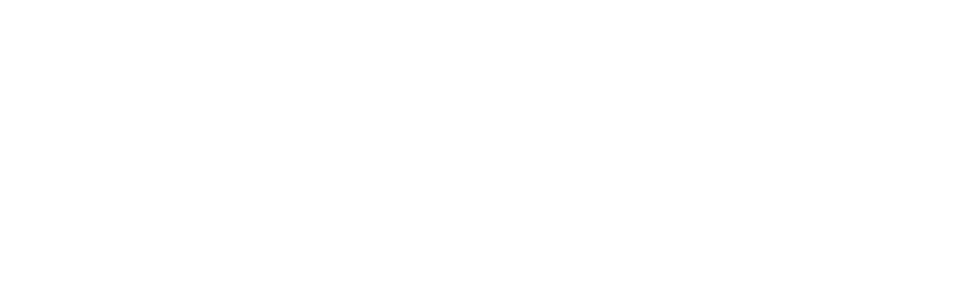 VORA